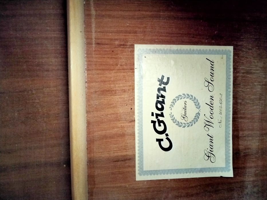 Електро акустична китара C.Giant с Fishman 301