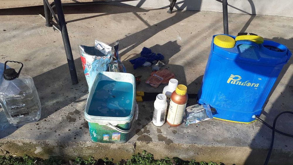 Taieri pomi fructiferi/vita de vie/plante ornamentale/tratamente fito