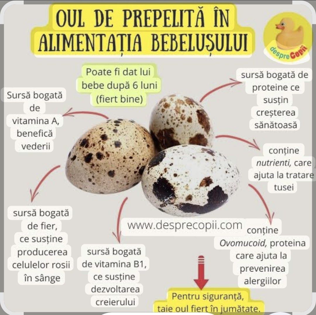 Prepelite și ouă direct de la producator