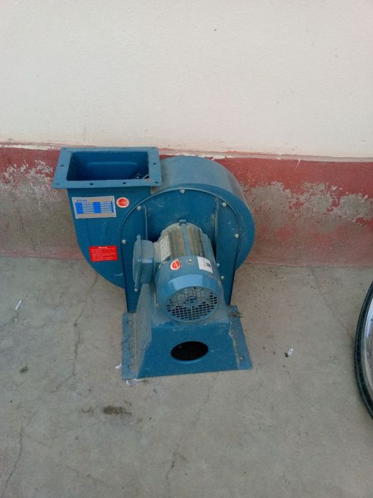 Димахот зур качестваси