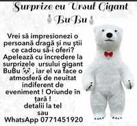 Surprize cu ursul BuBu