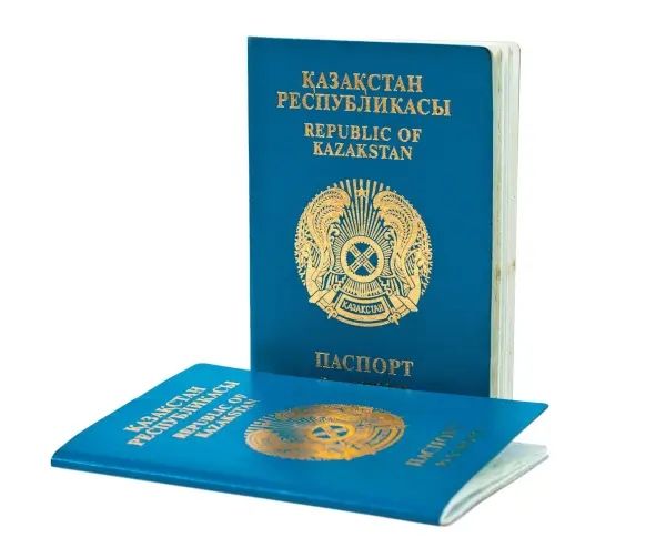 Визовый помощник. Помогаю с визами любого типа и в любую страну.