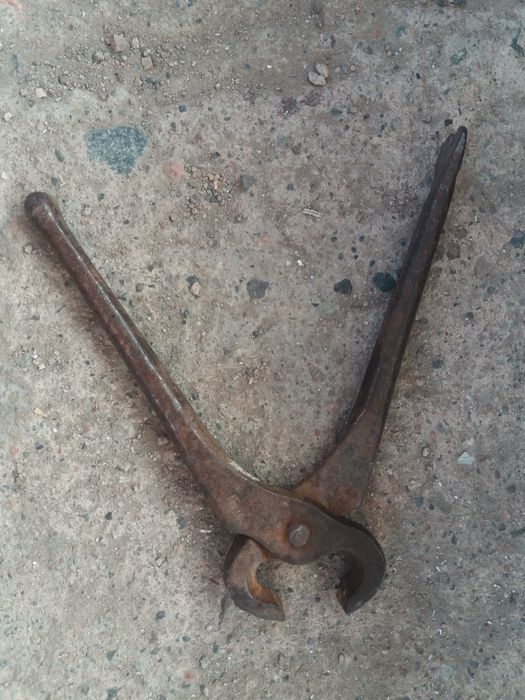 Гвоздадёр соаетский