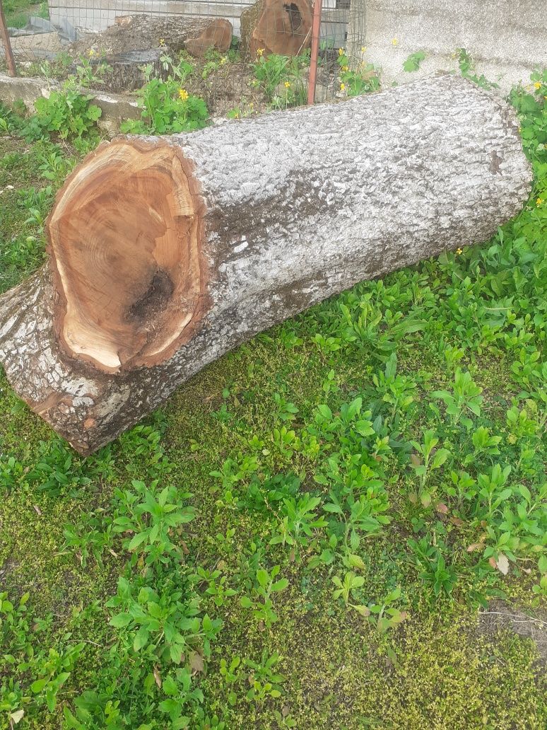 Vand lemn de nuc ce se vede în poze preț negociabil nr tel.