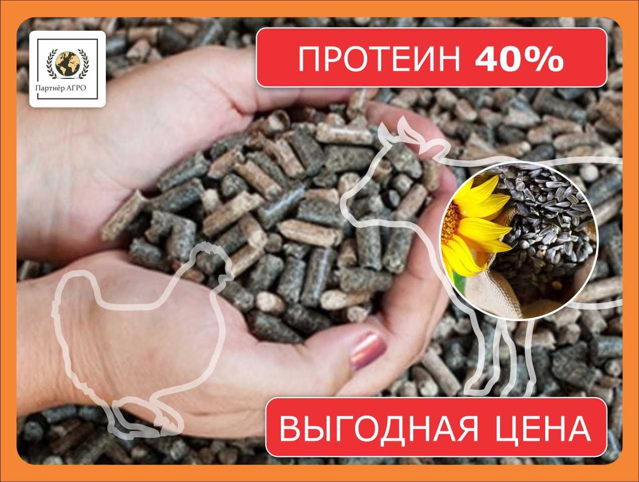 Подсолнечный шрот оптом (протеин min 40%) с доставкой по РК