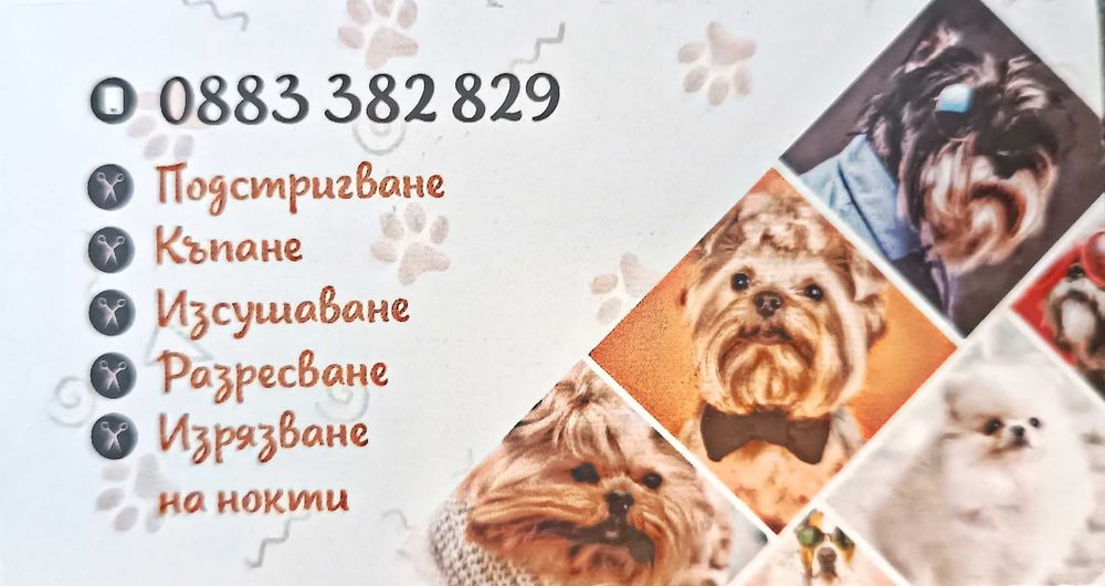 Груминг салон, цялостна грижа за домашни любимци