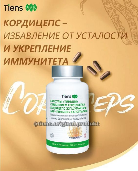 Кордицепс Тяньши мицелий