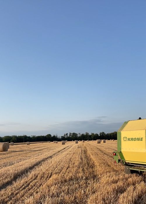 Baloti paie mari si presați 155x120