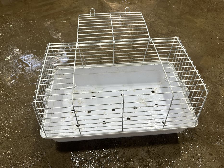 Quyon In (яшик для Кроликов)