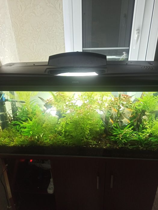 Продам аквариум с тумбой