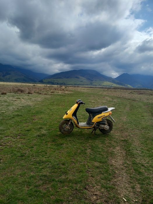 Piaggio typehoon 80