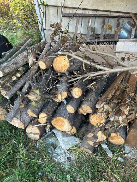 Vand lemne foc Sibiu