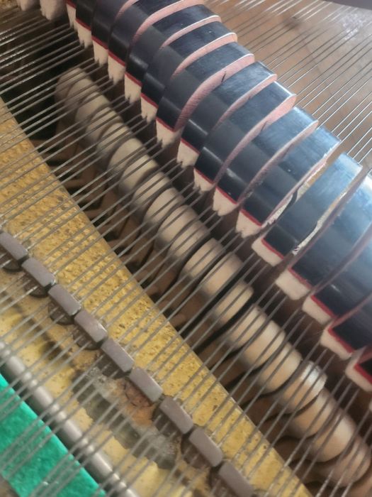 Петроф роял кабинетен роял