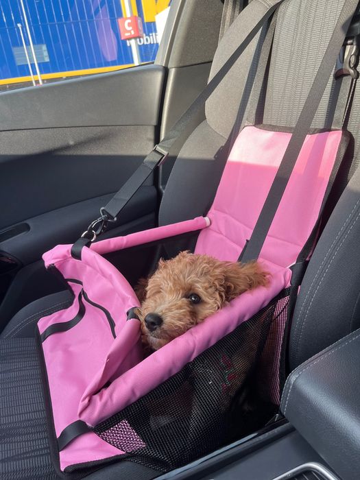 Geanta transport pliabila si scaun auto siguranta pentru caini ROZ