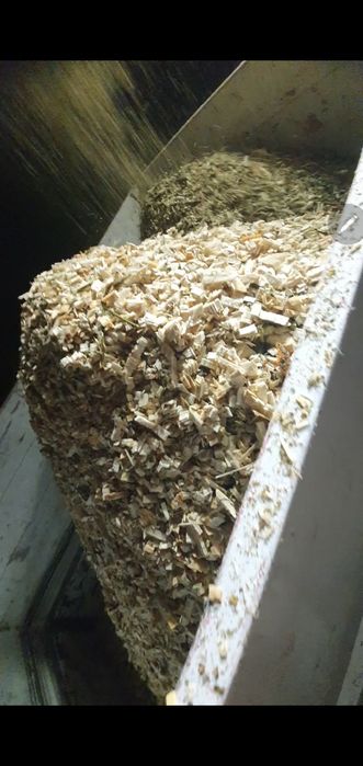 Rumegus pentru afumat fag. SI tocatura