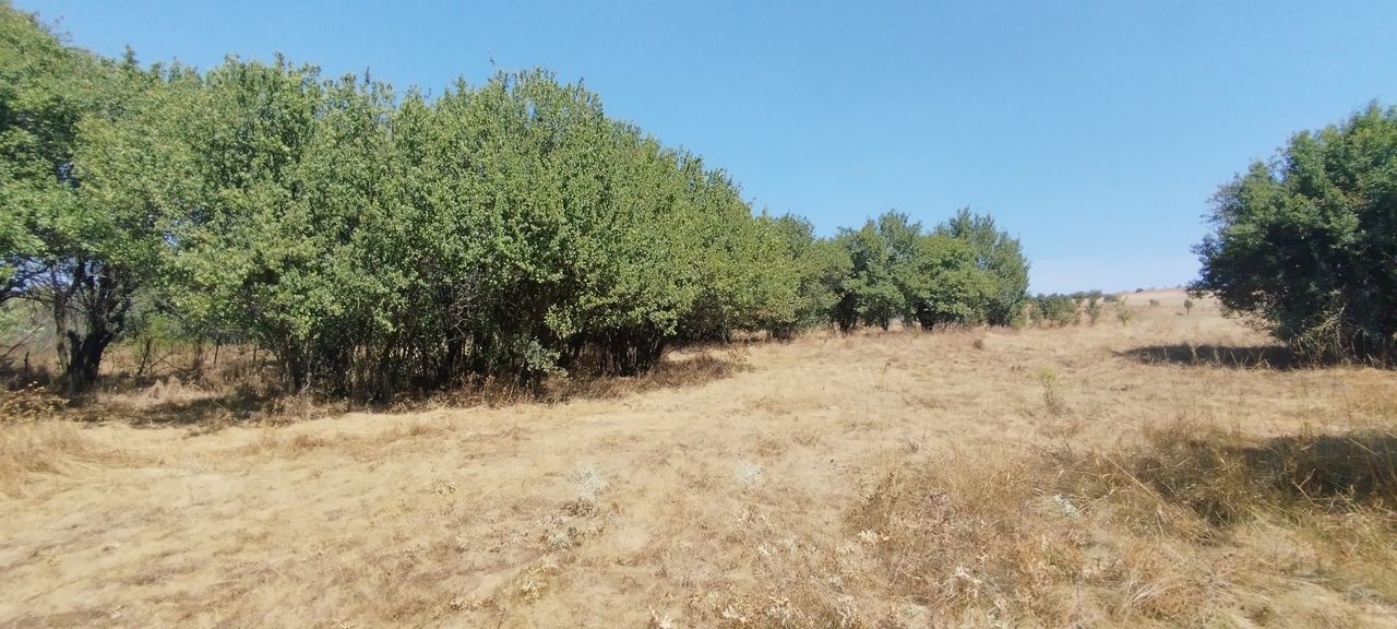 Продава се Парцел в с. Слаковци, Област Перник - 791 кв.м за 16 €/кв.м - Снимка #3