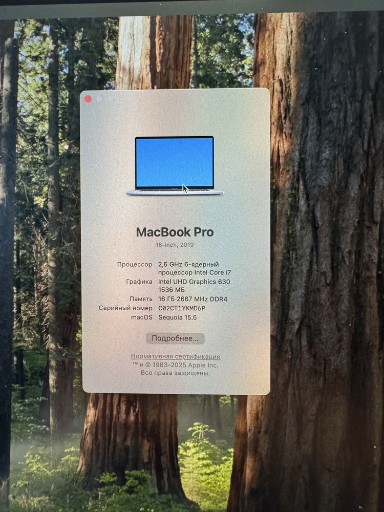 MacBook Pro 16” (A2441, 2019)