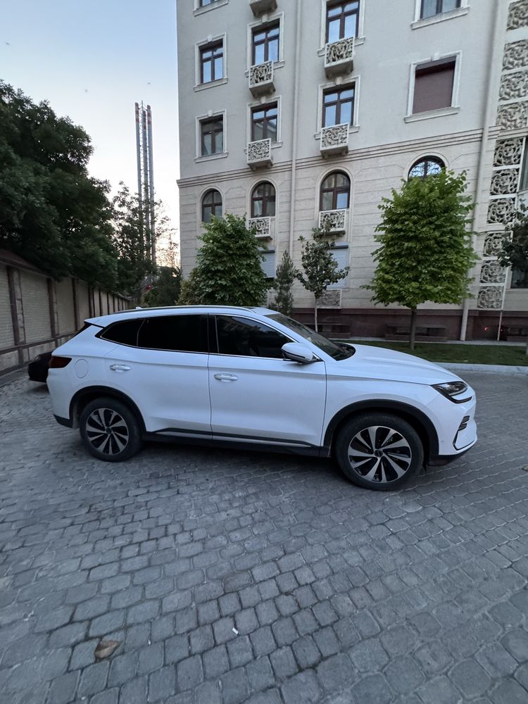 Byd son chempion full