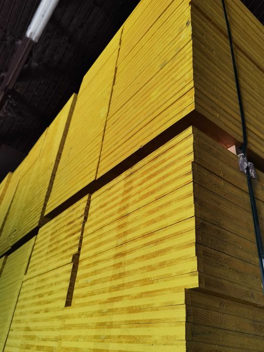 Placa galbena, tego, kaufmann k1