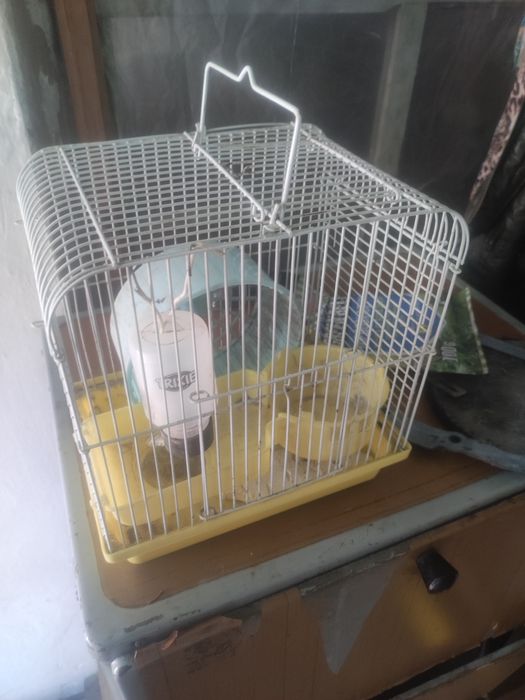 Клетка для хомяка