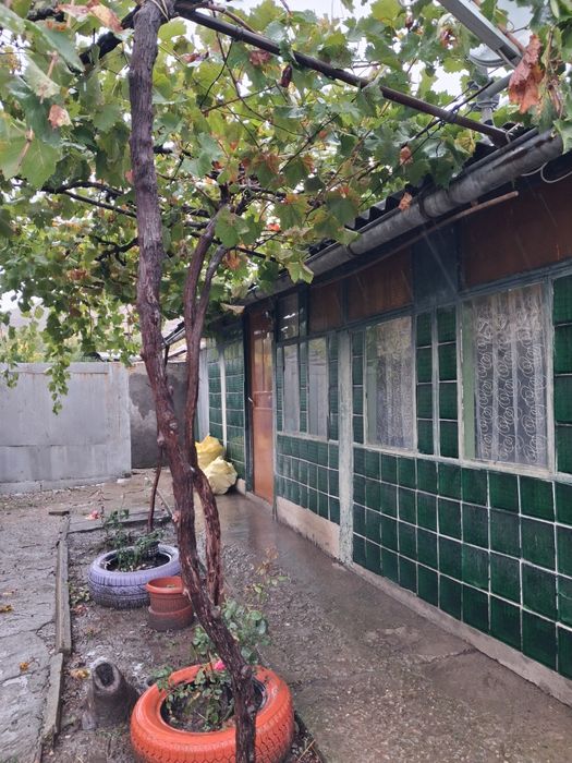 Продава се
На 3км от Търговище има ток,вода от