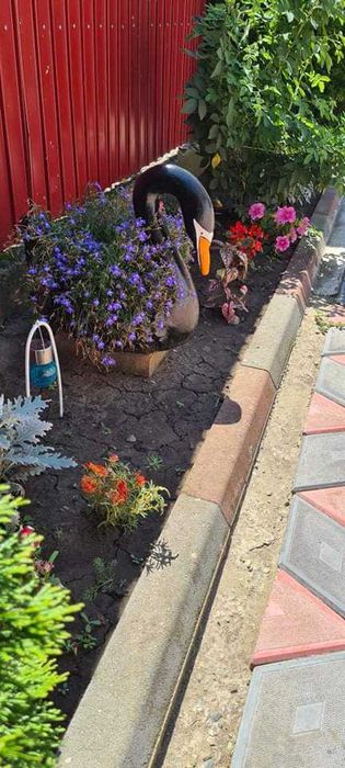 Vultur 180 ron decor  stalpi beton leu decor100 ron ingeras 100ron