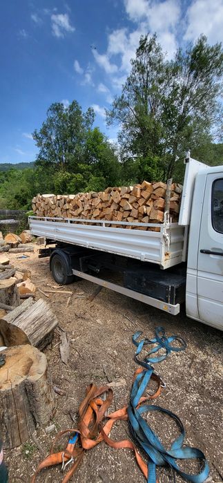 Lemne de foc fag chituci