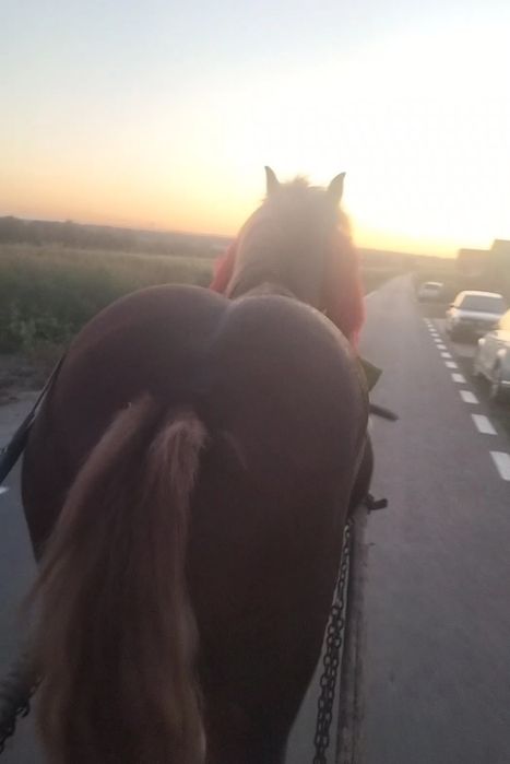 2200euro negociabil  Roman judetul Neamț