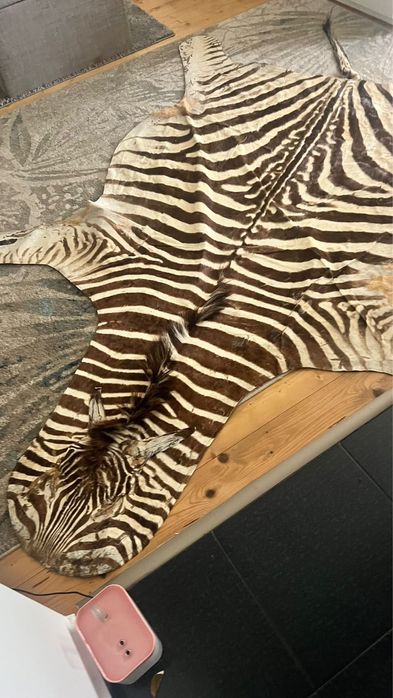 Piele de zebra naturala