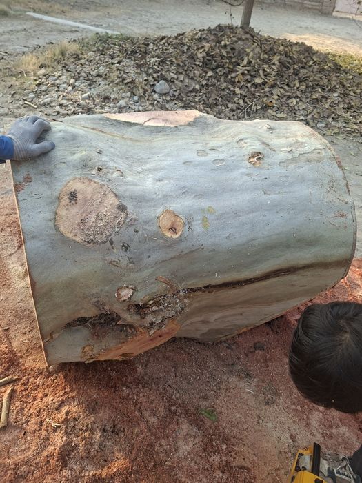 Гушт тунка орка тарафи ишлатилади