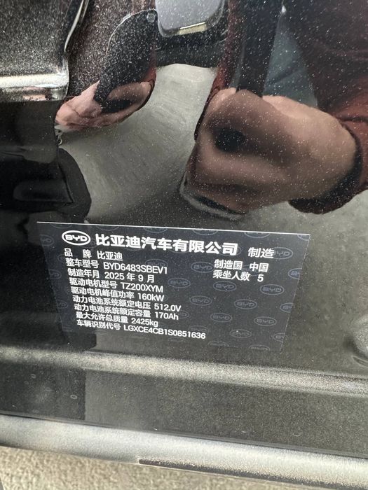 Byd chempion smart