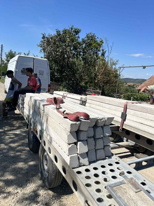 Stâlpi spalieri vie îngrădit