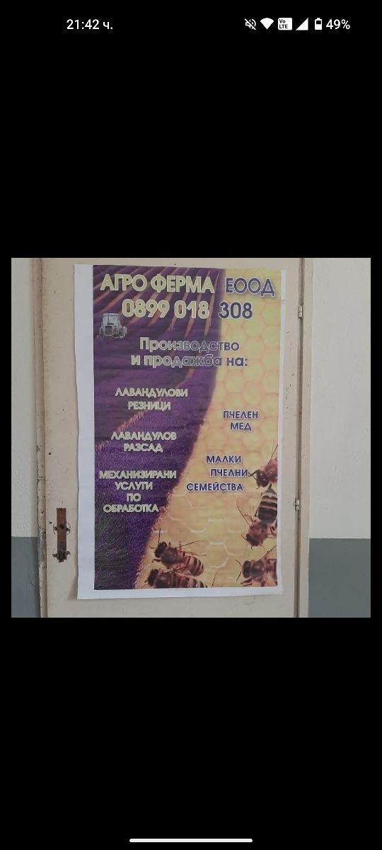 Малки пчелни семейсва