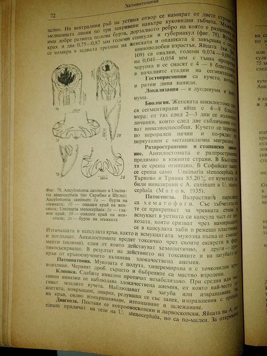 Ветеринарна паразитология Матов, Земиздат
