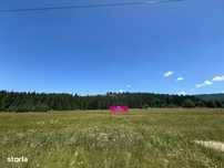 Teren intravilan 42 450 mp în zona montană!