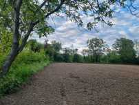 Teren intravilan 2000 m2 Dâmbovița Dărmănești
