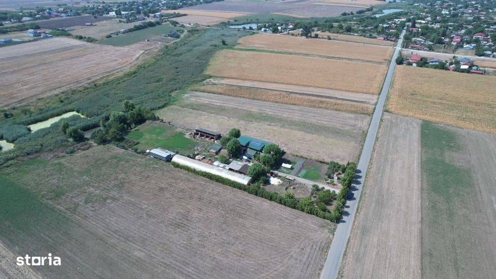 Ferma Frumusani,4062 mp teren