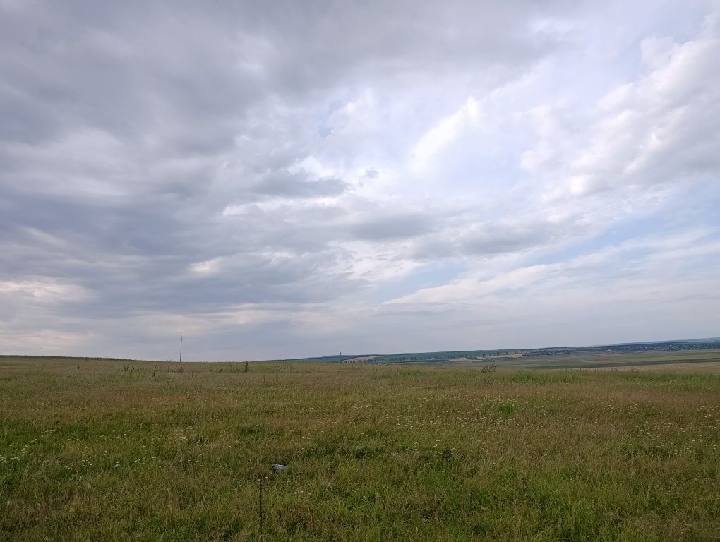 Vând teren intravilan în sat Iepureni, com. Movileni, jud. Iași