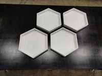 Rame hexagonale pentru tablou licheni