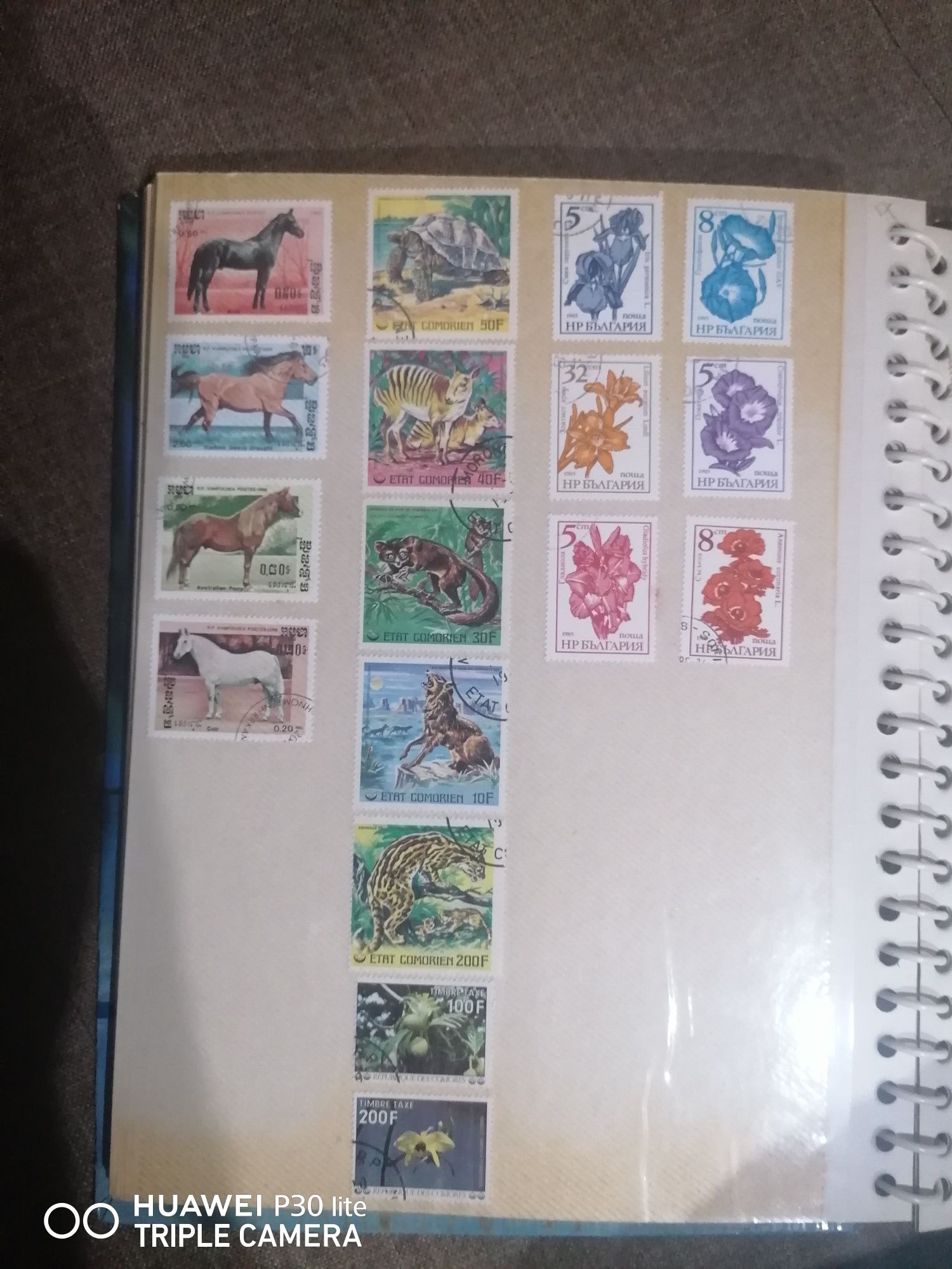 Vând timbre vechi