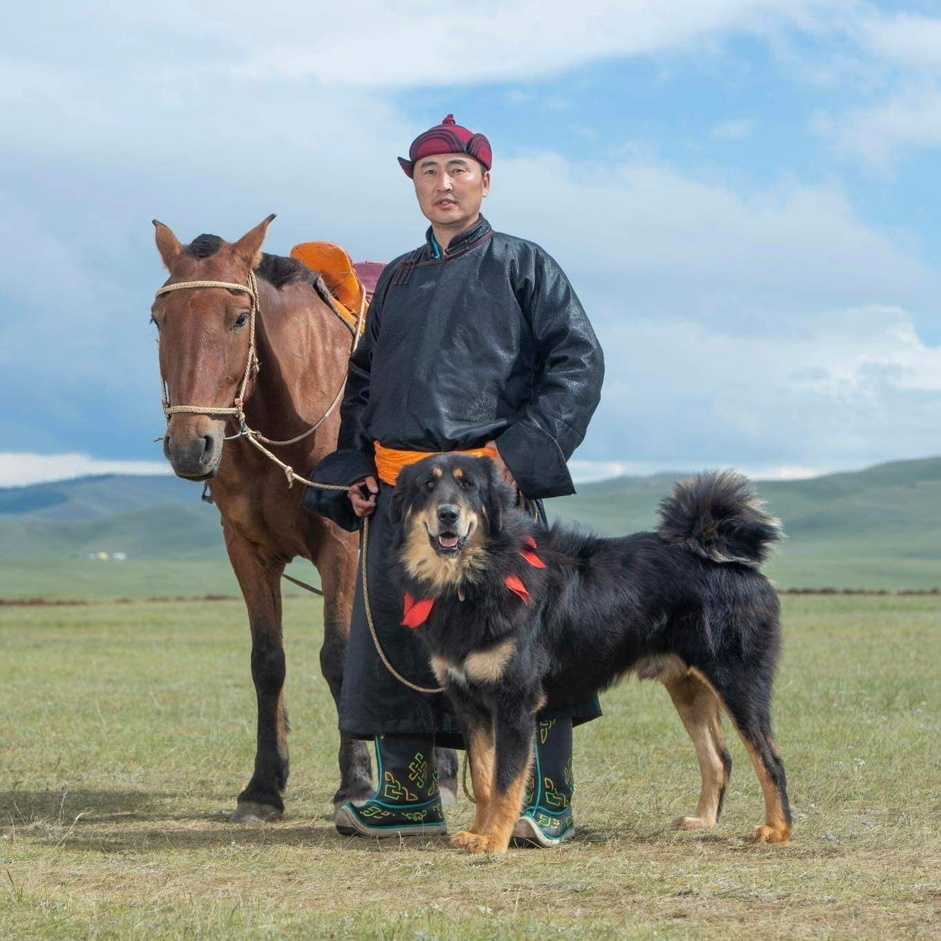 Банхар Монгольский волкодав.
