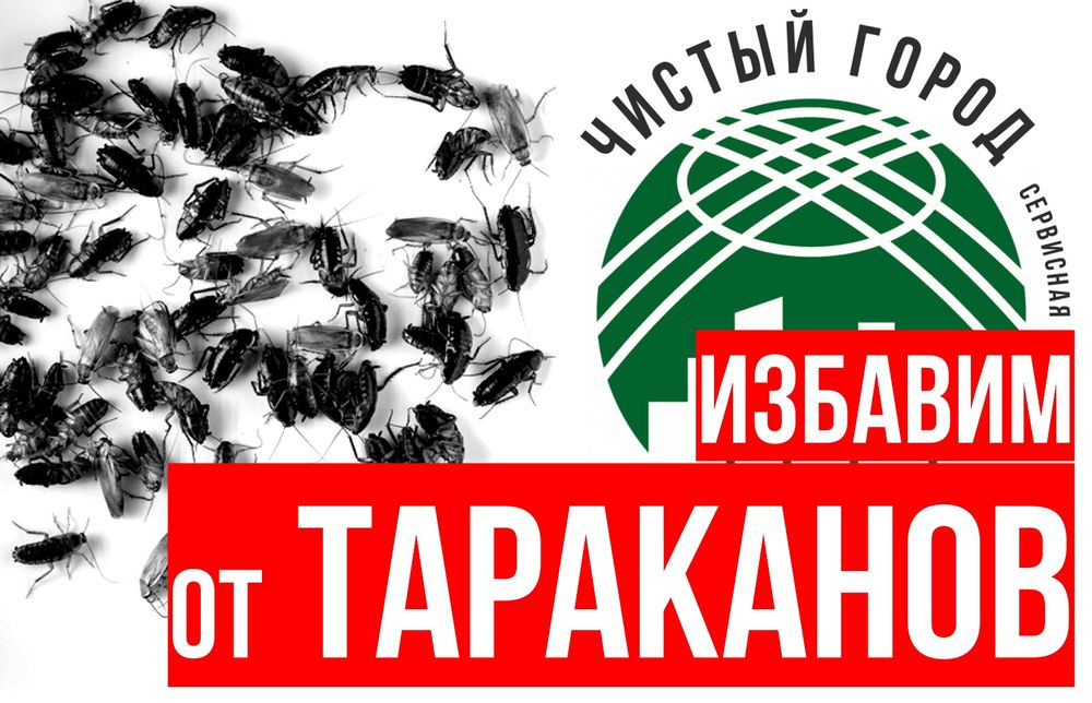 ДЕЗИНСЕКЦИЯ от муравьев по договору