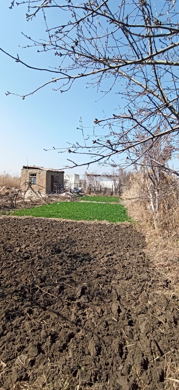 Zarafshon daryo oldi dachalari 6 sotiq