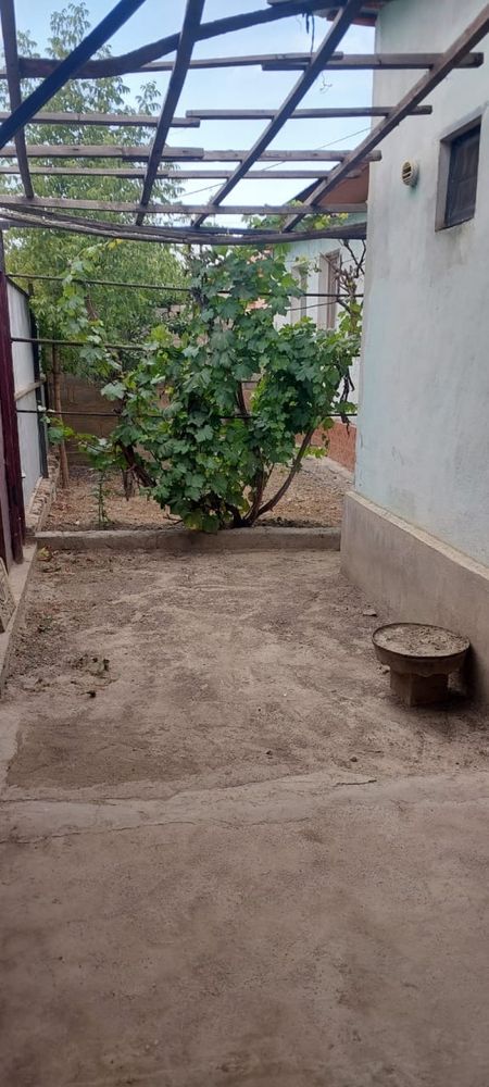 Продам дом в Чилике