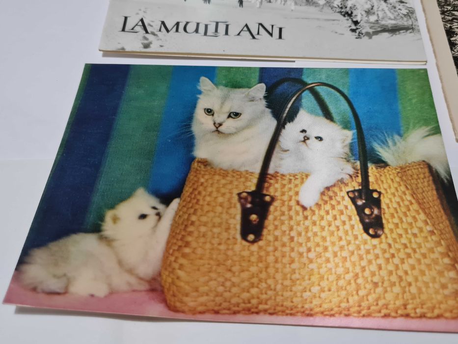 6) 20 de felicitări vechi