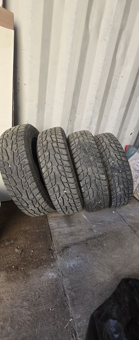 Шины зимные шиповонные