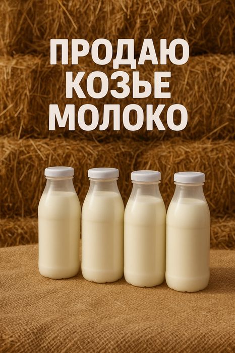 Продам свежее козье молоко