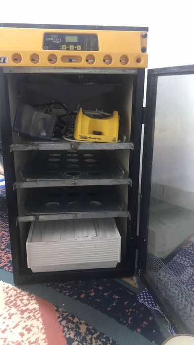 Incubator brinsea ovaeasy 2