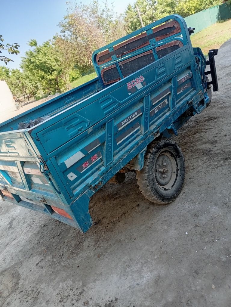 Matasekl elektron xolati zur