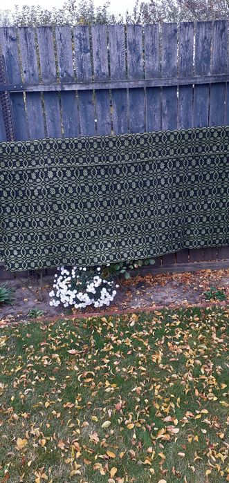 Vand velinta in stare foarte bună